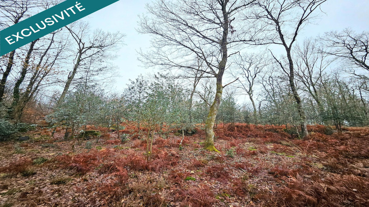 Ma-Cabane - Vente Terrain Lagraulet-du-Gers, 9570 m²