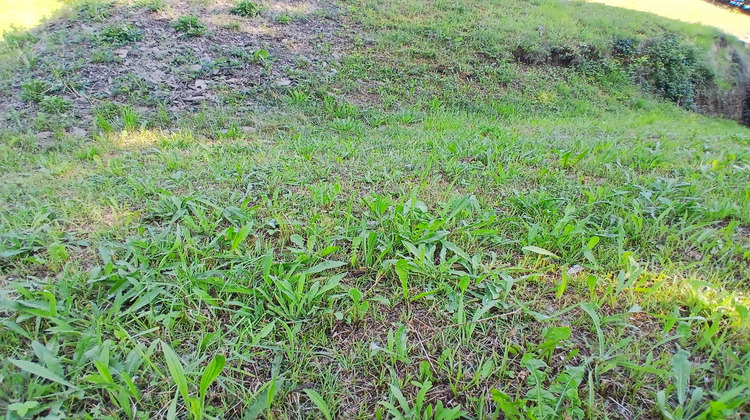 Ma-Cabane - Vente Terrain Laissaud, 546 m²