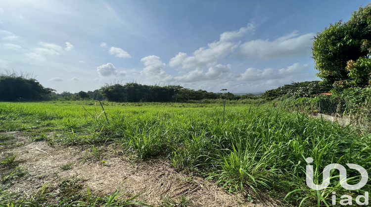 Ma-Cabane - Vente Terrain Lamentin, 750 m²