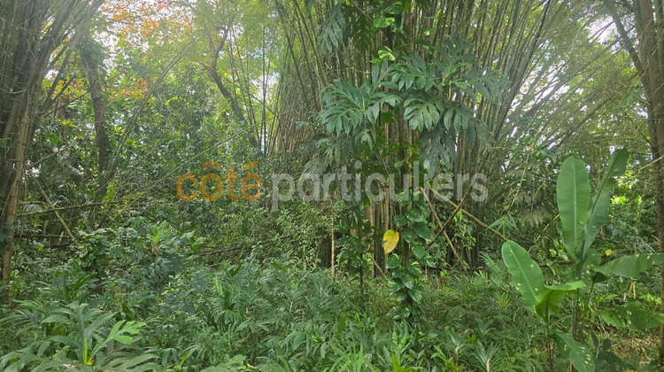 Ma-Cabane - Vente Terrain LAMENTIN, 3166 m²