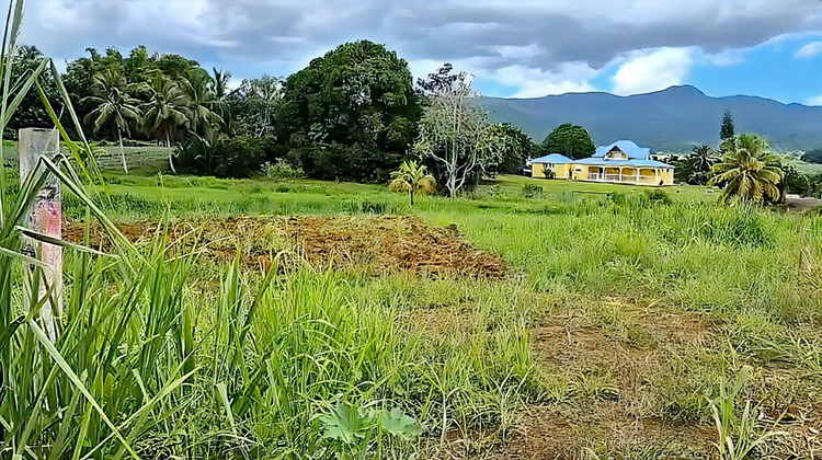 Ma-Cabane - Vente Terrain Lamentin, 1353 m²