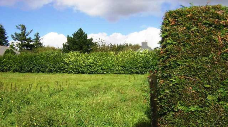 Ma-Cabane - Vente Terrain LANGOELAN, 906 m²