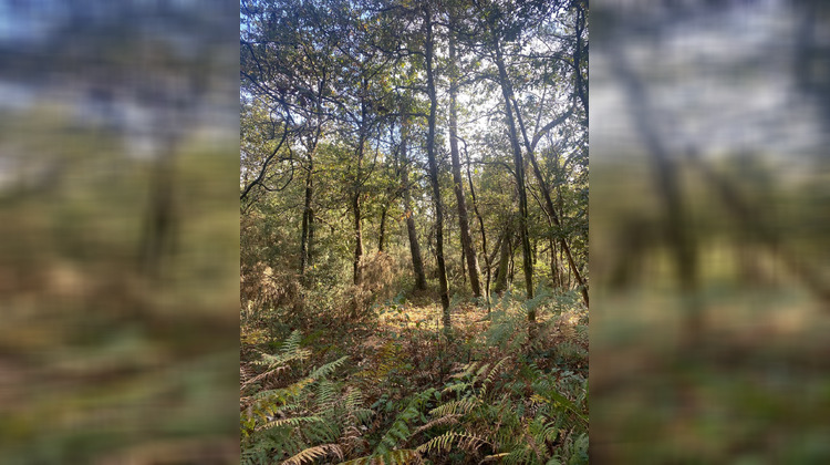 Ma-Cabane - Vente Terrain Langon, 2890 m²