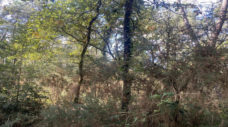 Ma-Cabane - Vente Terrain Langon, 2890 m²