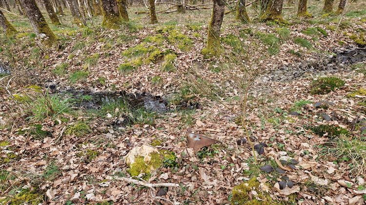 Ma-Cabane - Vente Terrain LANGON, 22911 m²