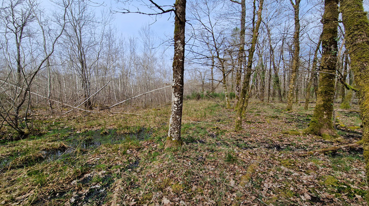 Ma-Cabane - Vente Terrain LANGON, 22911 m²