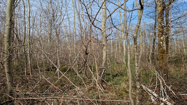 Ma-Cabane - Vente Terrain LANGON, 22911 m²