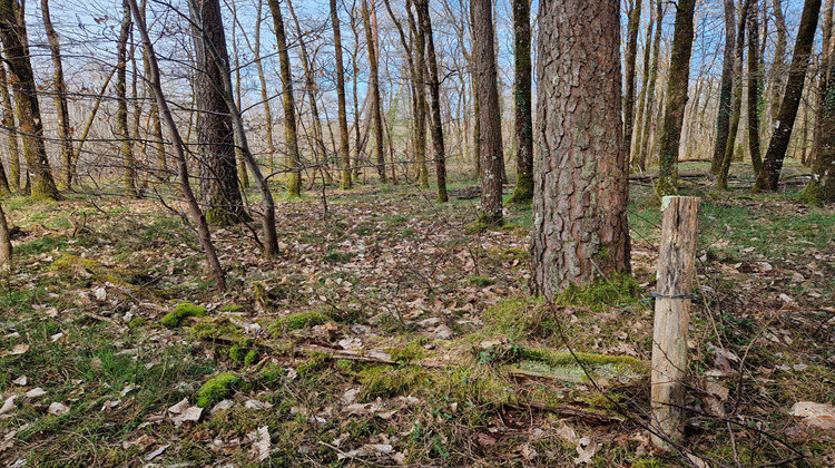 Ma-Cabane - Vente Terrain LANGON, 22911 m²