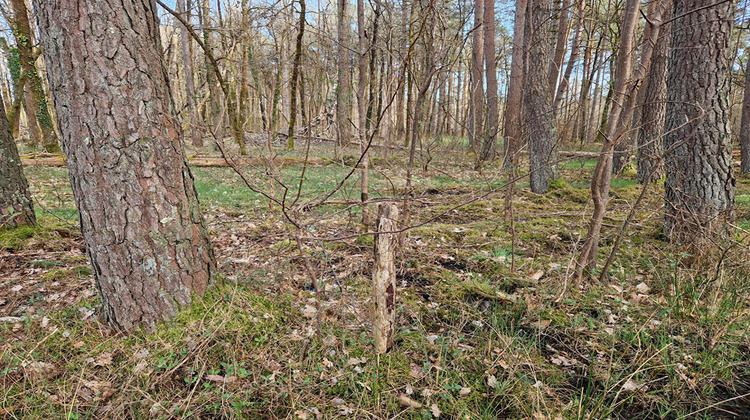 Ma-Cabane - Vente Terrain LANGON, 22911 m²