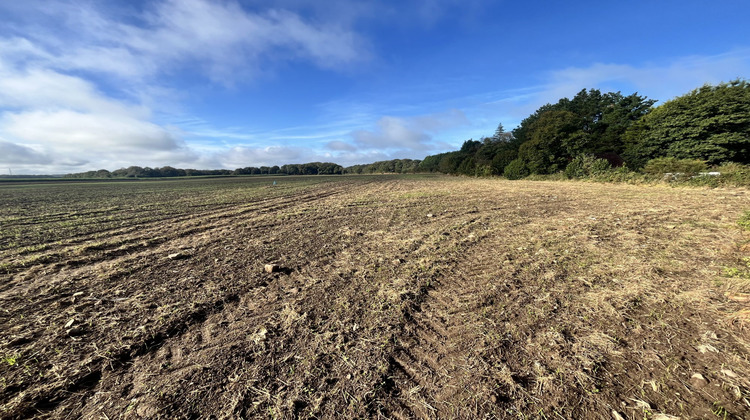 Ma-Cabane - Vente Terrain Languidic, 1374 m²