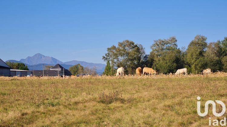 Ma-Cabane - Vente Terrain Lannemezan, 2425 m²