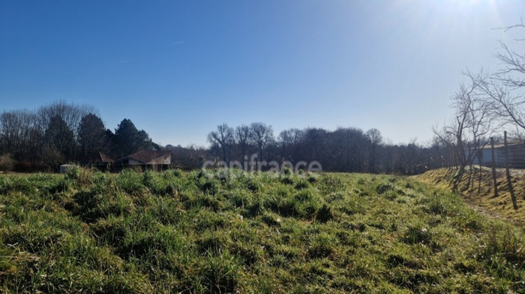 Ma-Cabane - Vente Terrain LAREE, 7522 m²