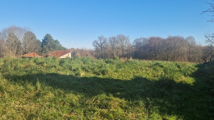 Ma-Cabane - Vente Terrain LAREE, 7522 m²