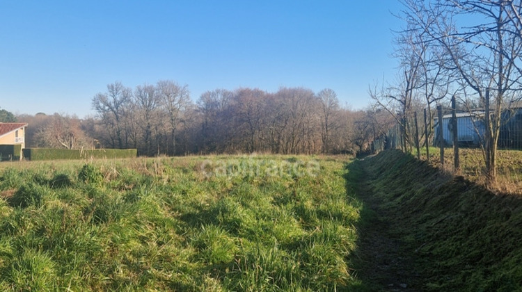 Ma-Cabane - Vente Terrain LAREE, 7522 m²