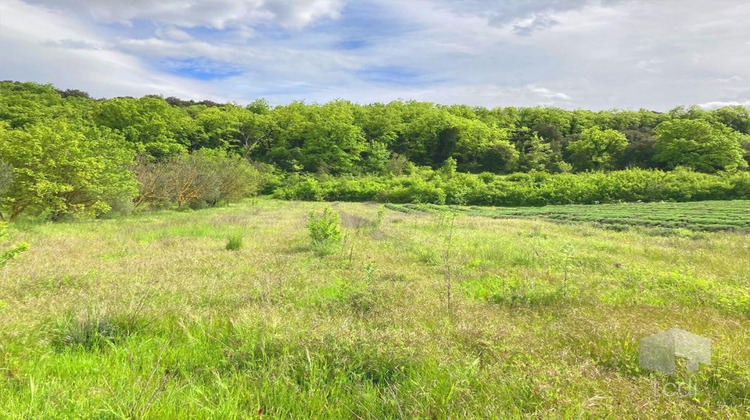 Ma-Cabane - Vente Terrain LARNAS, 1800 m²