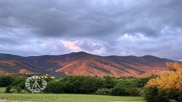 Ma-Cabane - Vente Terrain Laroque-des-Albères, 1420 m²