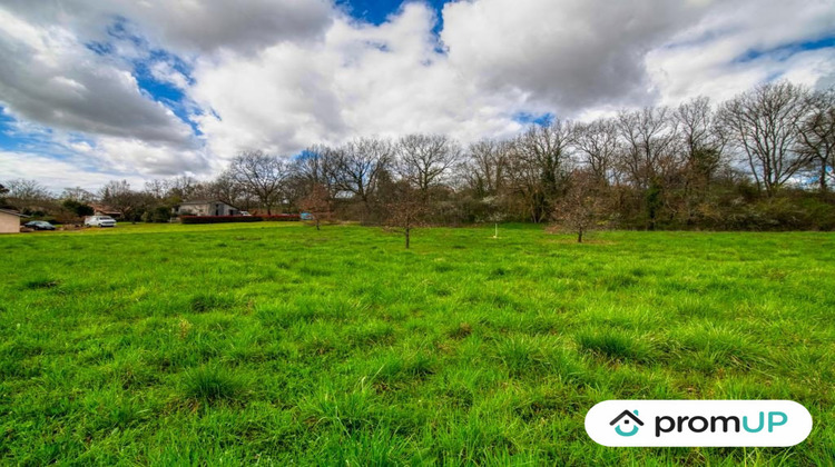 Ma-Cabane - Vente Terrain Larrazet, 2000 m²