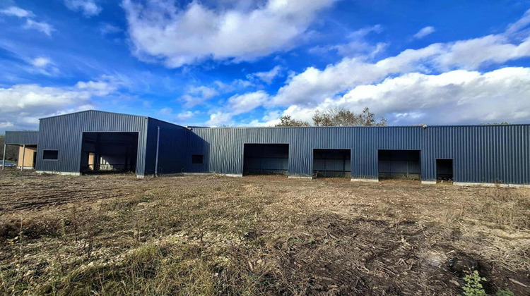 Ma-Cabane - Vente Terrain LARUSCADE, 3596 m²