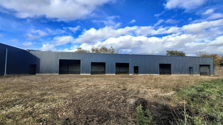 Ma-Cabane - Vente Terrain LARUSCADE, 3596 m²