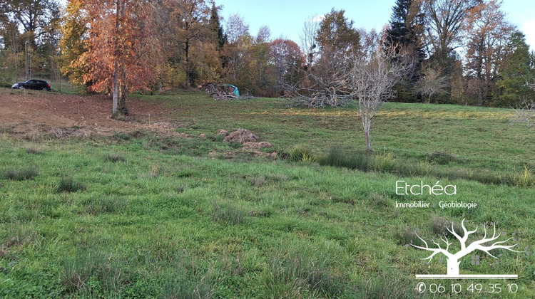 Ma-Cabane - Vente Terrain Lasseube, 2348 m²