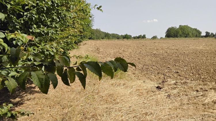 Ma-Cabane - Vente Terrain Latille, 1000 m²