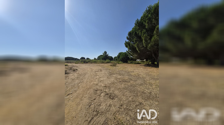 Ma-Cabane - Vente Terrain Latour-Bas-Elne, 960 m²