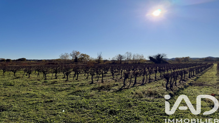 Ma-Cabane - Vente Terrain Laudun-l'Ardoise, 9227 m²