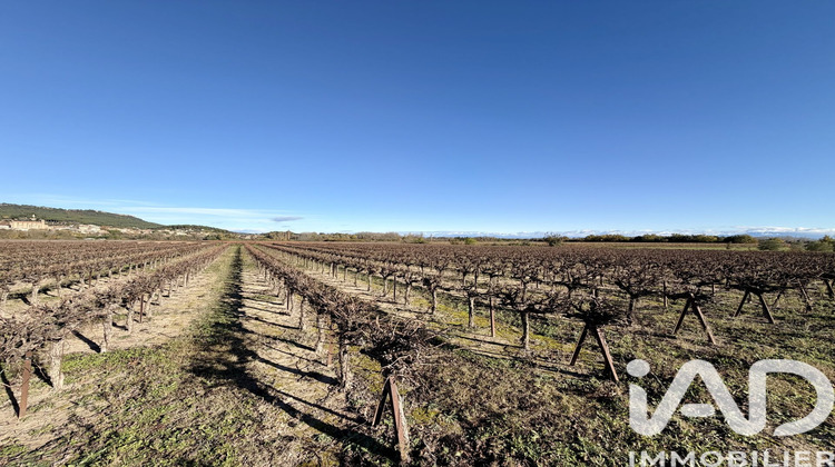 Ma-Cabane - Vente Terrain Laudun-l'Ardoise, 9763 m²