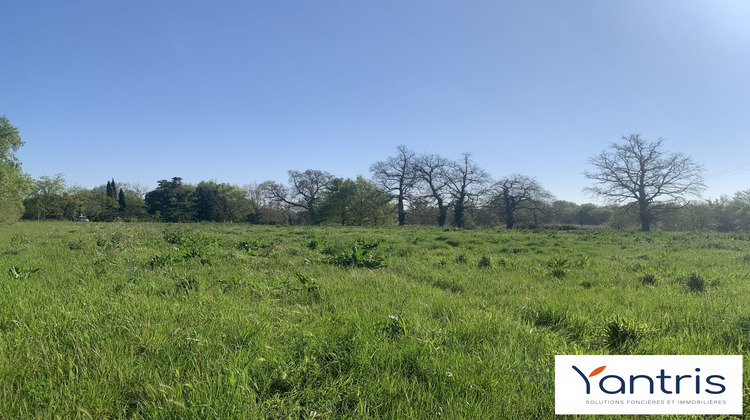 Ma-Cabane - Vente Terrain Lavernose-Lacasse, 6327 m²