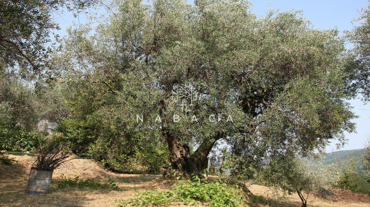 Ma-Cabane - Vente Terrain Le Bar-sur-Loup, 1755 m²