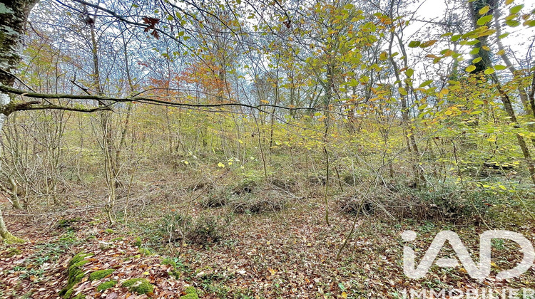 Ma-Cabane - Vente Terrain Le Blanc, 4532 m²