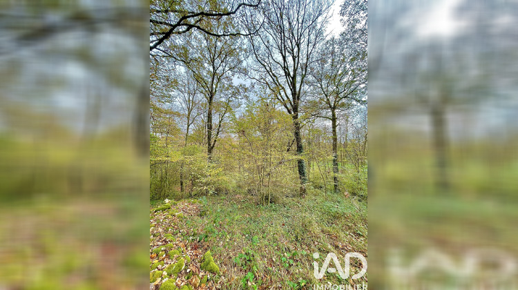 Ma-Cabane - Vente Terrain Le Blanc, 4532 m²