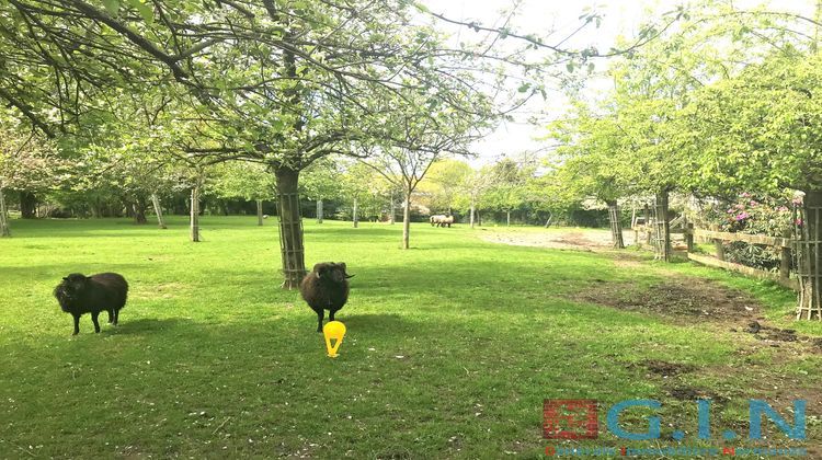 Ma-Cabane - Vente Terrain Le Bocasse, 1387 m²