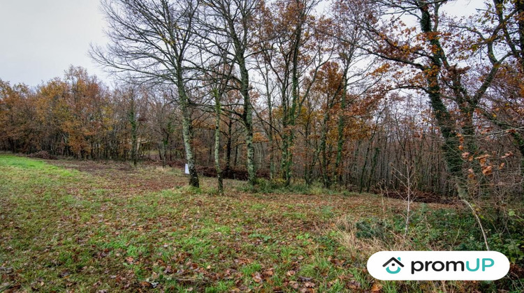 Ma-Cabane - Vente Terrain Le Born,VILLEMUR SUR TARN, 2301 m²