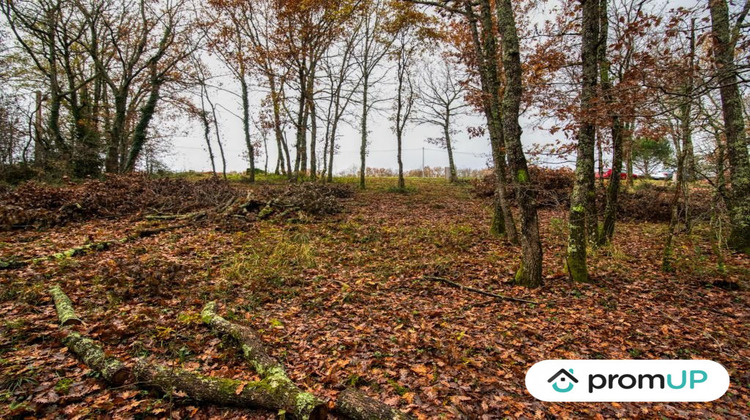 Ma-Cabane - Vente Terrain Le Born,VILLEMUR SUR TARN, 2301 m²