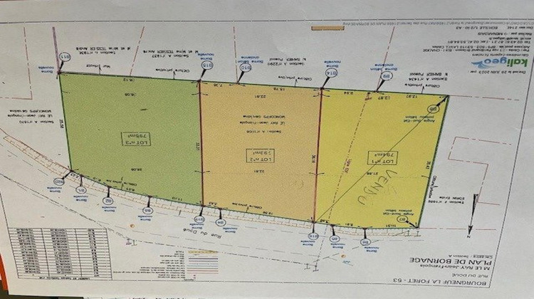 Ma-Cabane - Vente Terrain Le Bourgneuf-la-Foret, 795 m²