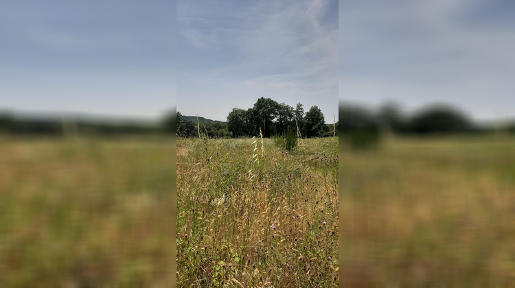 Ma-Cabane - Vente Terrain Le Buisson-de-Cadouin, 3949 m²