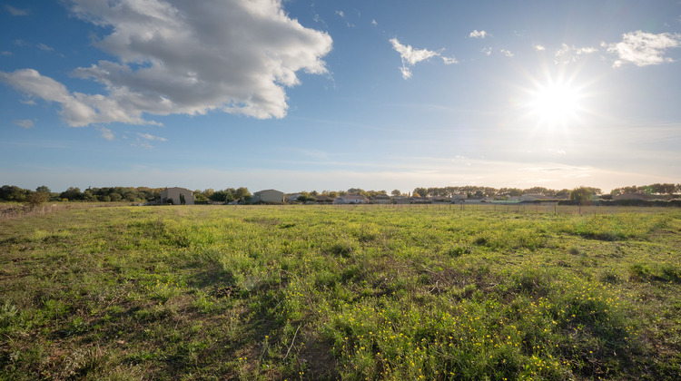 Ma-Cabane - Vente Terrain Le Cailar, 642 m²