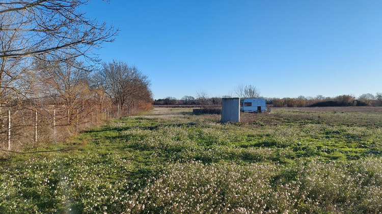 Ma-Cabane - Vente Terrain Le Cailar, 8750 m²