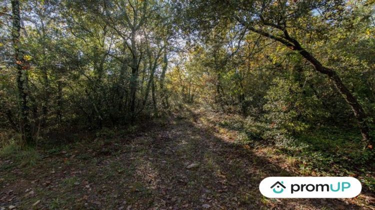 Ma-Cabane - Vente Terrain Le Cannet-des-Maures, 9625 m²