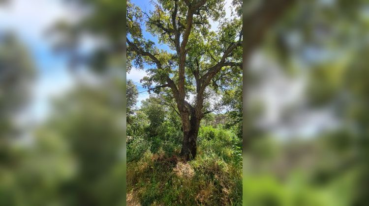 Ma-Cabane - Vente Terrain LE CANNET-DES-MAURES, 600 m²