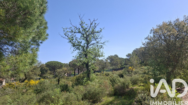 Ma-Cabane - Vente Terrain Le Cannet-des-Maures, 876 m²
