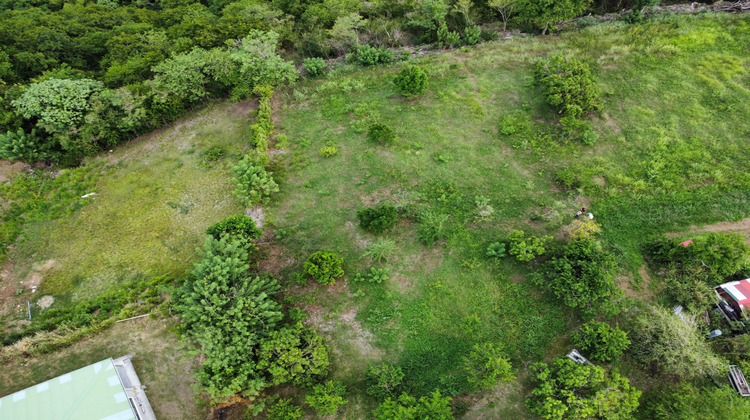 Ma-Cabane - Vente Terrain Le Carbet, 1500 m²