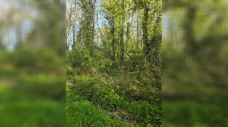 Ma-Cabane - Vente Terrain LE CHAMP SAINT PERE, 2500 m²