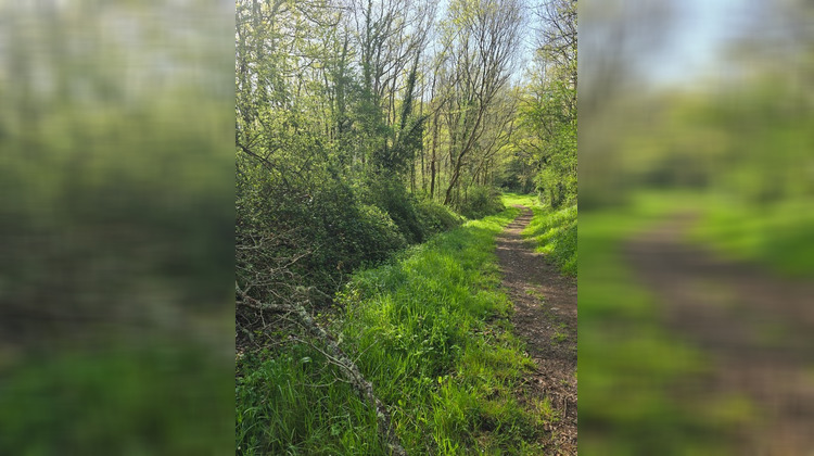 Ma-Cabane - Vente Terrain LE CHAMP SAINT PERE, 2500 m²