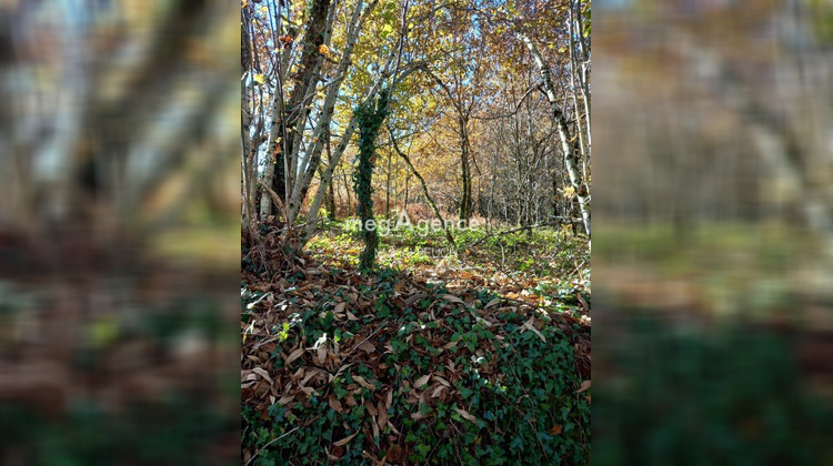 Ma-Cabane - Vente Terrain LE CHASTANG, 3064 m²