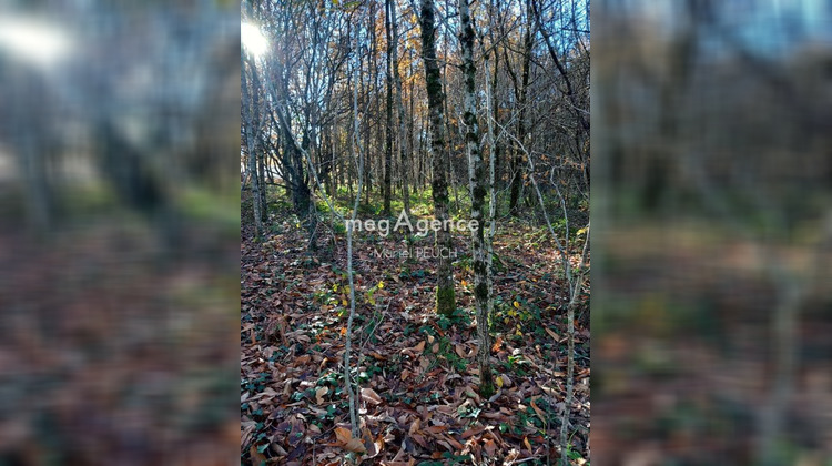 Ma-Cabane - Vente Terrain LE CHASTANG, 3064 m²