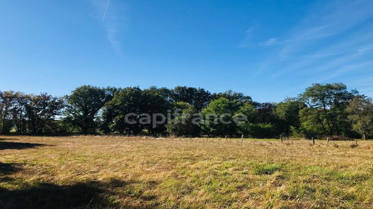 Ma-Cabane - Vente Terrain LE CHAUTAY, 9346 m²