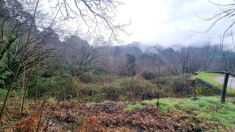 Ma-Cabane - Vente Terrain LE COLLET DE DEZE, 9403 m²