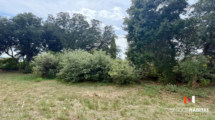 Ma-Cabane - Vente Terrain Le Crès, 800 m²
